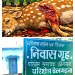 चीतल का शिकार: शिकारी अब तक बेनकाब नहीं, वन विभाग की कार्यवाही शून्य